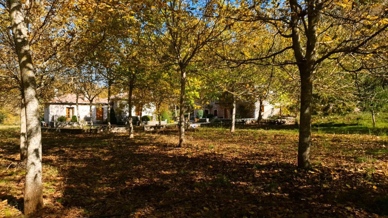 Andrea Sofi Guesthouse Dimicána Kültér fotó