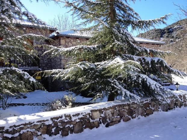 Andrea Sofi Guesthouse Dimicána Kültér fotó