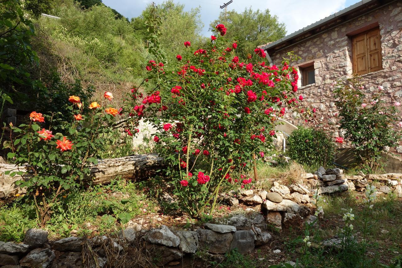Andrea Sofi Guesthouse Dimicána Kültér fotó